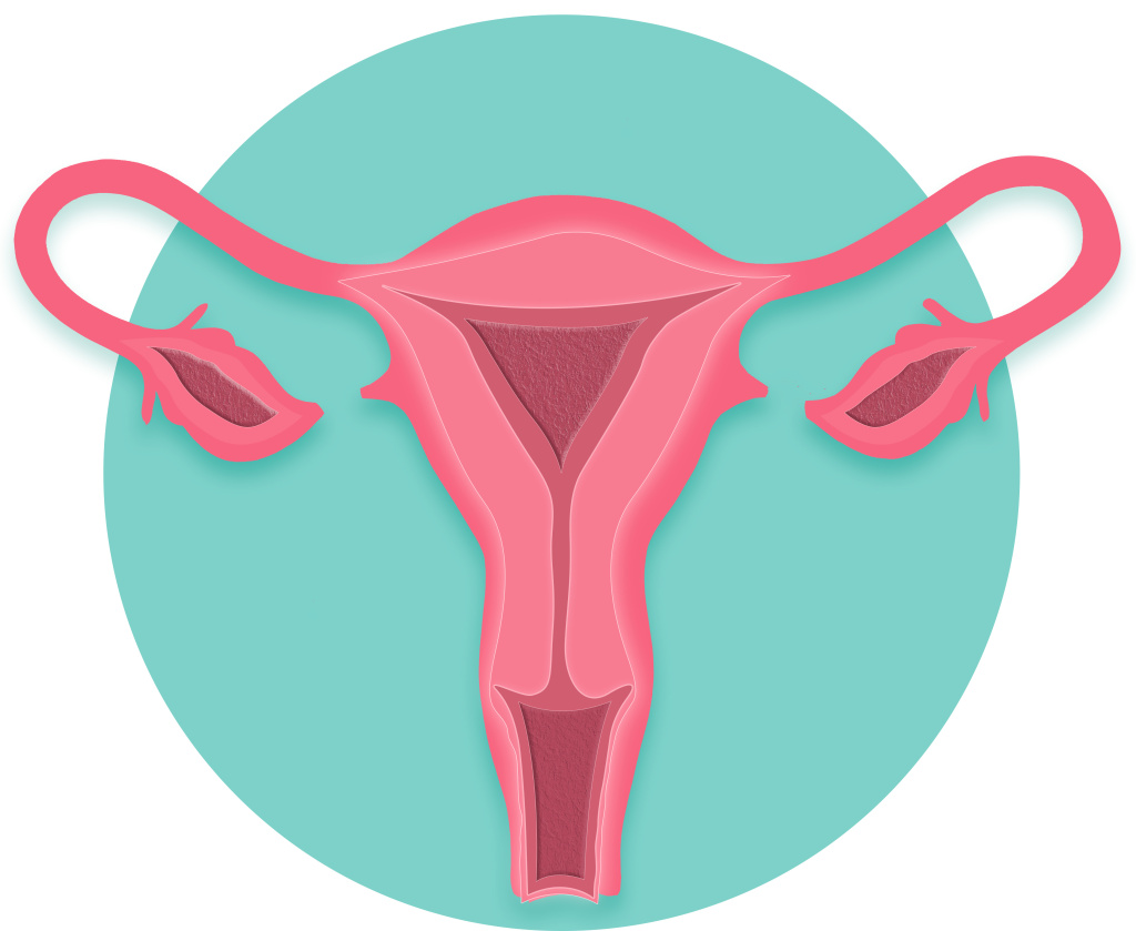 Матка иконка.jpg